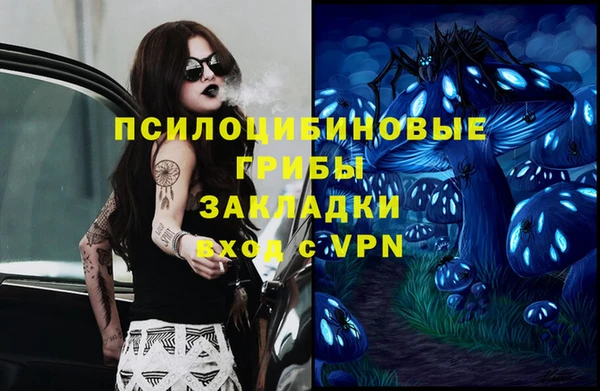 дурь Алзамай