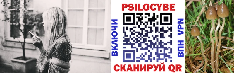 Псилоцибиновые грибы Psilocybe  Рыльск 